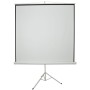 AV:Link Tripod Projector Screen 4:3 100" 2.0x1.5 952.335UK