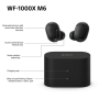 Sony WF1000XM6 Wireless Noise Cancelling Earbuds Platinum Silver
