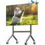 NBMounts Trolley P100 Manual 90x60 68kg 1.20m-1.50m Height