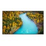 SONY FW98BZ53L 4K HDR professional display with Cognitive Processor XR™