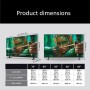 Sony BRAVIA 2 II 65'' 4K Smart TV (Google TV)  X1 Processor High Dynamic Range (HDR) K65S25M2 (2026)